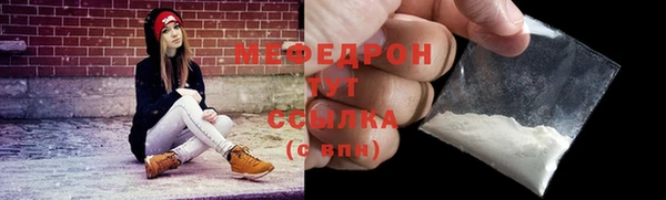 индика Бородино